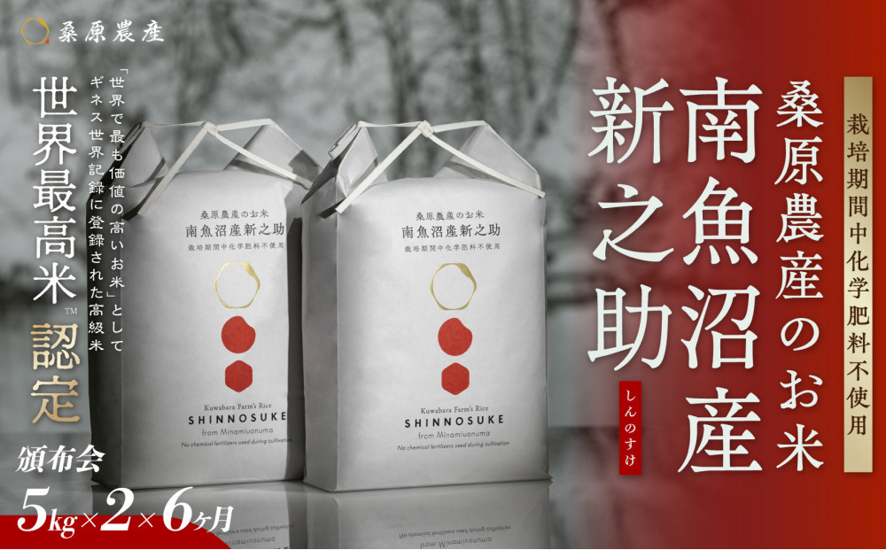 【令和8年産新米予約】【頒布会】ギネス世界記録「世界最高米」認定 最高級　南魚沼産新之助5kg×2　6ヵ月 　桑原農産のお米(精米)【2026年10月下旬より1ヶ月以内に順次発送予定】