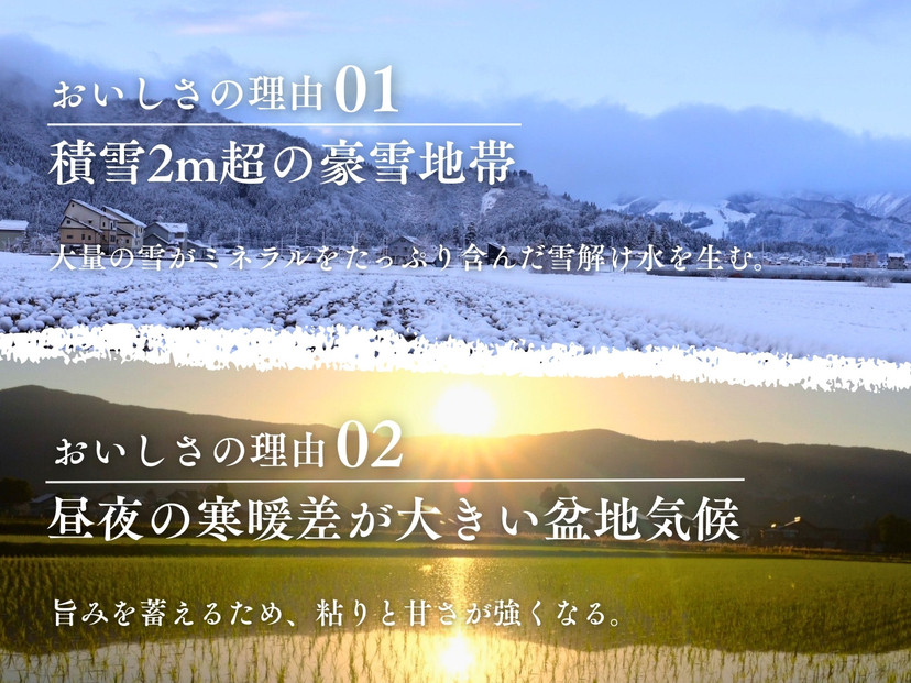 縲仙ョ医j縺溘>譌・譛ャ譛画焚縺ョ蜻ウ縲大漉鬲壽イシ縲梧立蝪ゥ豐「蝨ー蛹コ縲埼剞螳 繧ウ繧キ繝偵き繝ェ 5kg 逋ス邀ウ
