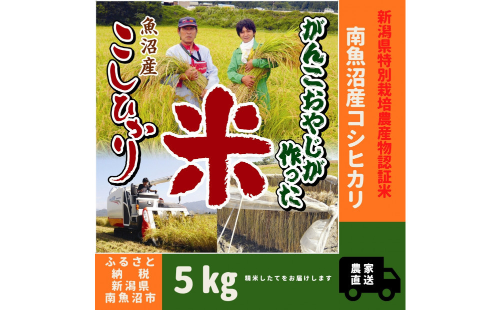 【令和７年産】特別栽培米　がんこおやじが作った南魚沼産コシヒカリ 白米5kg