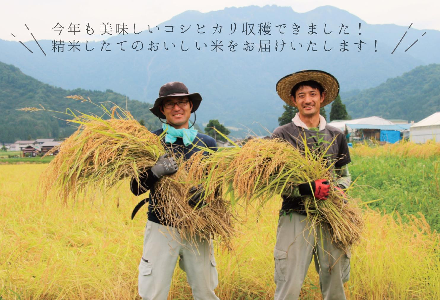 【令和７年産】南魚沼産コシヒカリ　白米４kg（２ｋｇ×２）【５割減農薬栽培米】城内農産