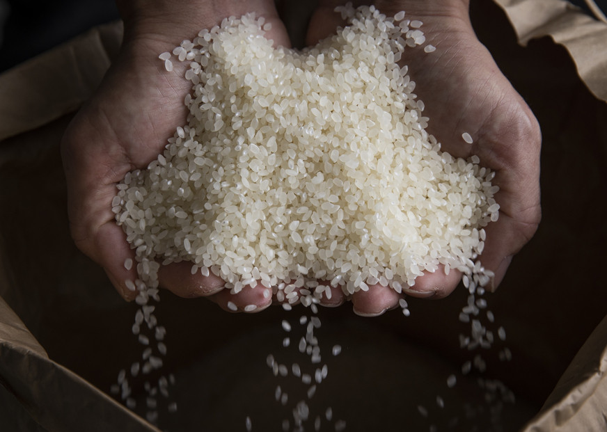 【令和7年産】厳選こだわり南魚沼産コシヒカリ「こまがた農園のお米」 4kg(2kg×2袋)