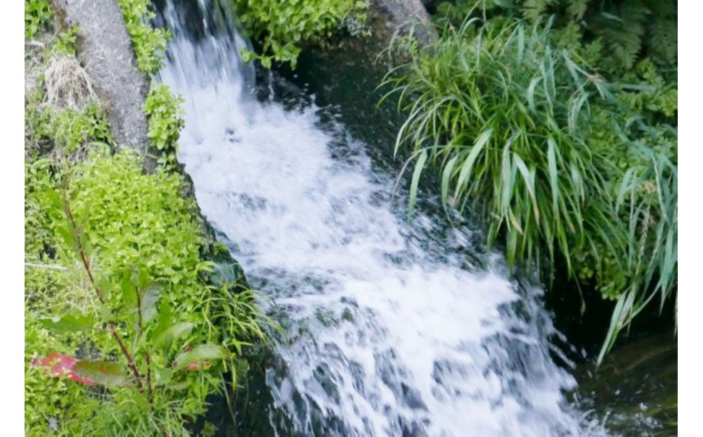 縲撰シイ7蟷エ逕」縲代仙ョ壽悄萓ソ縲大漉鬲壽イシ逕」繧ウ繧キ繝偵き繝ェ邊セ邀ウ2kgテ暦シ門屓 螻ア譛ャ螳カ縲仙セ捺擂蜩∫ィョ縲