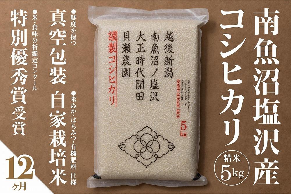 新米予約【令和8年産】【定期便】「貝瀬農園米」農薬5割減栽培　南魚沼塩沢産コシヒカリ　精米5kg×全12回【2026年10月上旬から1ヶ月以内に順次発送予定】