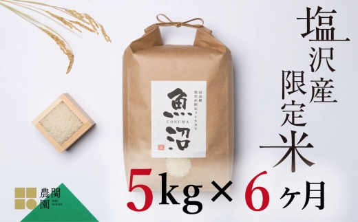 【定期便令和7年産】南魚沼コシヒカリ５kg×全6回　旧塩沢地区限定米【定期便 銘柄米 ブランド米 精米 こしひかり コシヒカリ 魚沼産 新潟米 産地直送 お米 米 こめ コメ ご飯 御飯 ごはん】