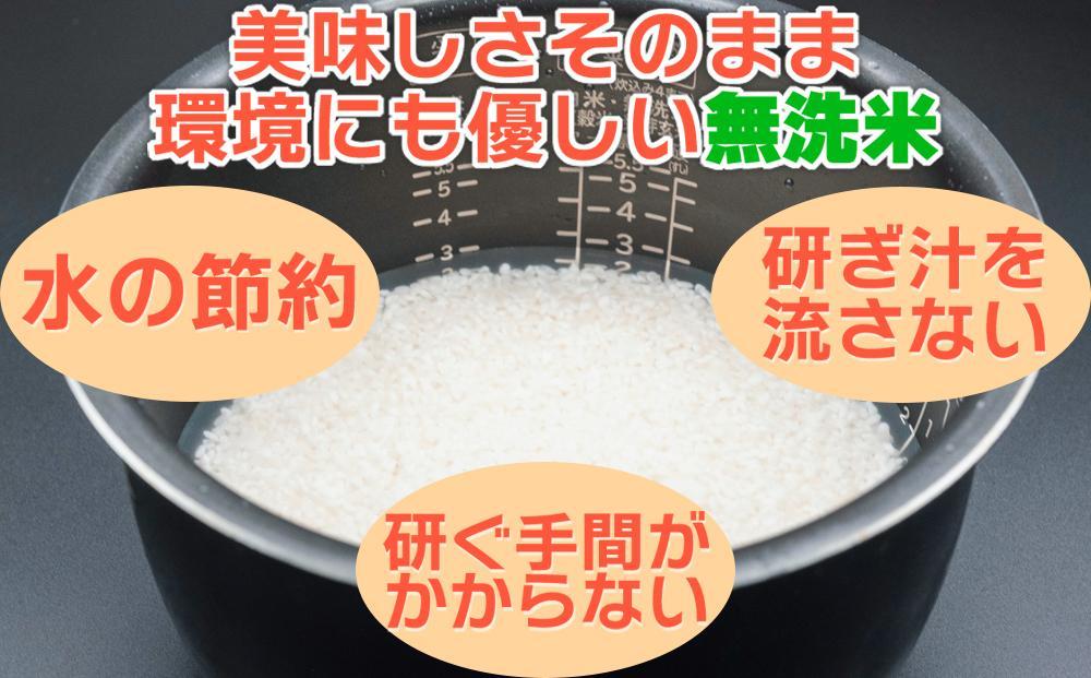 【JAみなみ魚沼定期便】南魚沼産こしひかり無洗米（2kg×全3回）