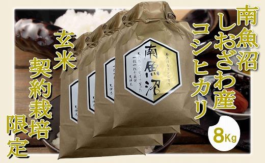 【令和7年産】【玄米８Kg】●玄米● 生産者限定 南魚沼しおざわ産コシヒカリ