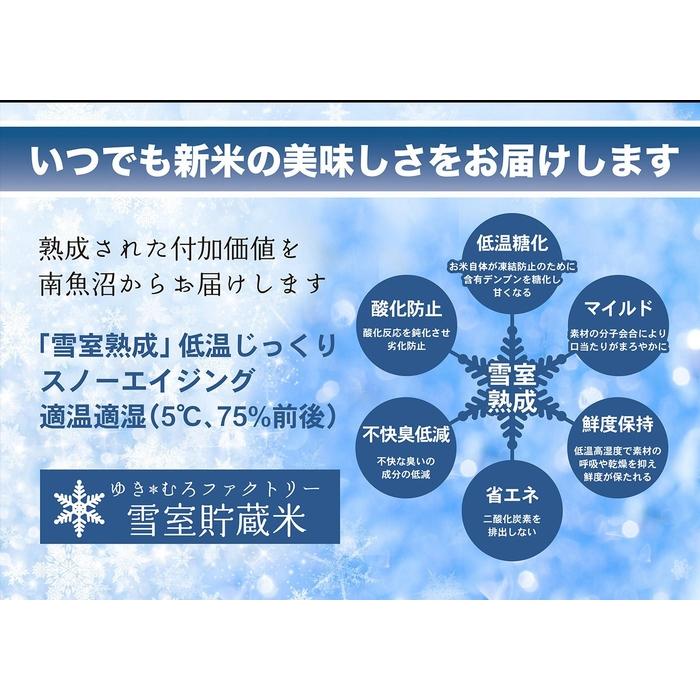脱気タイプ【定期便5kg×12回】 雪室貯蔵米 塩沢産 従来コシヒカリ　