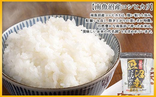 【令和7年産】【定期便】新潟県 南魚沼産 コシヒカリ お米 5kg×計6回 精米済み 半年 毎月発送 （お米の美味しい炊き方ガイド付き）