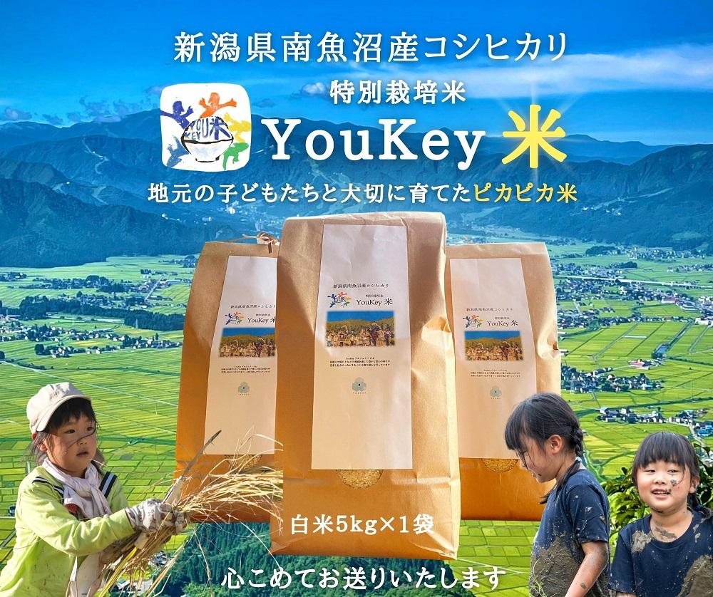 新潟県南魚沼産　特別栽培米 「YouKey 米」 5kg（精米）