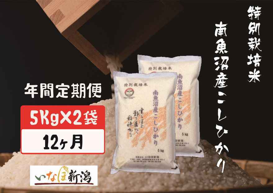 【令和7年産】【定期配送】南魚沼産コシヒカリ特別栽培米 白米 10kg 全12回