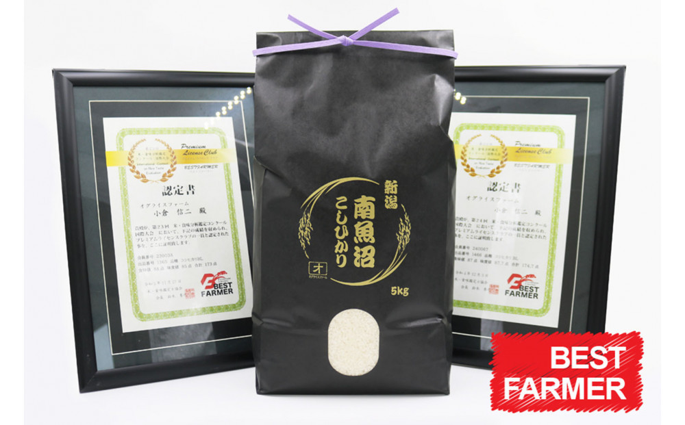 【令和８年産　新米予約 】【生産者直送】【定期便１２ヶ月】  南魚沼産こしひかり 無洗米5kg×全12回　合計60kg　オグライスファーム＜コシヒカリ 農家直送＞　2026年10月中旬頃から受付順に発送予定