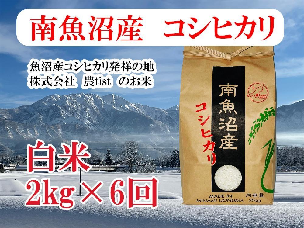 【定期便 南魚沼産】コシヒカリ 白米2kg×6回