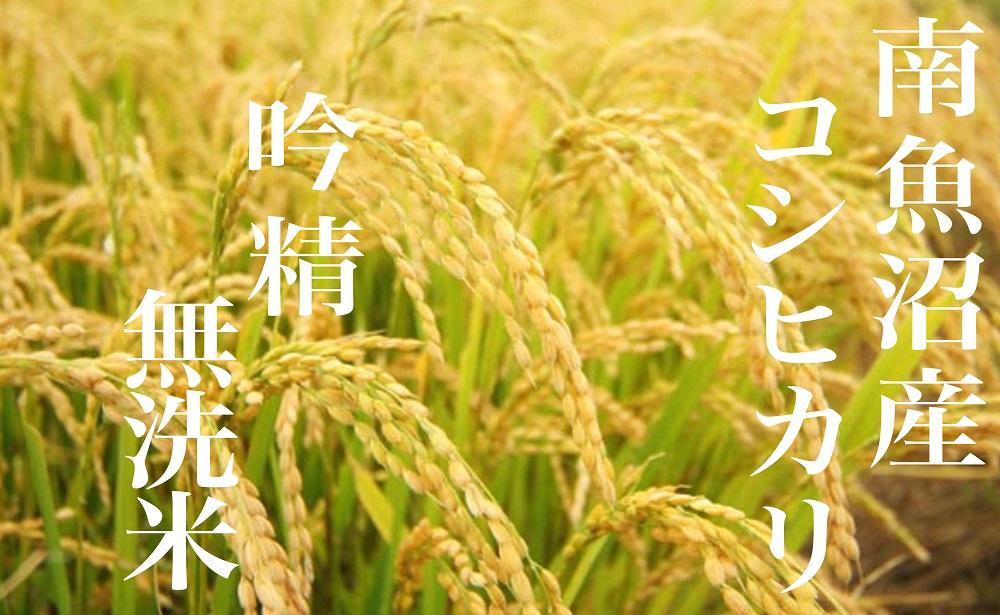 【令和7年産】【頒布会4Kg×全9回】無洗米 吟精 南魚沼産コシヒカリ【2025年10月上旬より順次発送予定】