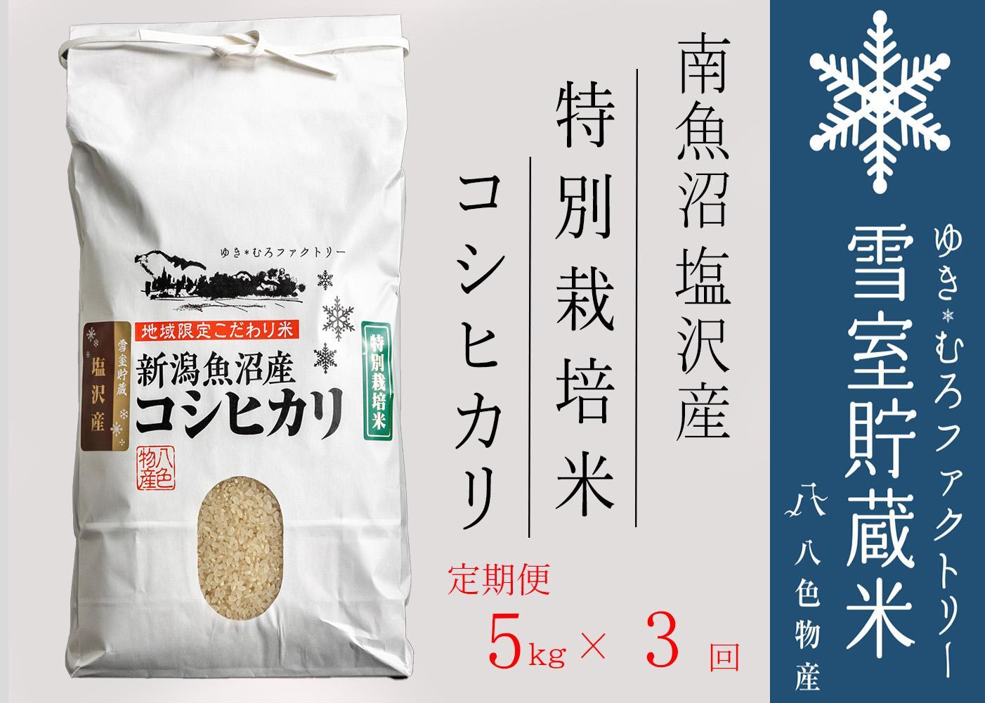 【令和７年産】特別栽培【定期便5kg×3回】 雪室貯蔵米 南魚沼塩沢産コシヒカリ【2025年10月下旬より順次発送予定】