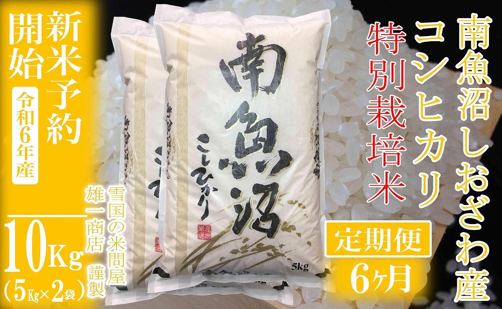 【新米予約・令和6年産】定期便6ヶ月：精米10Kg※特別栽培※ 生産者限定 南魚沼しおざわ産コシヒカリ