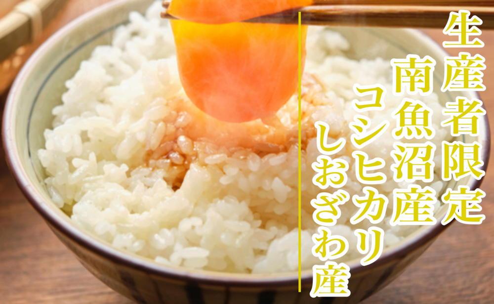 【令和8年産　新米予約】定期便12ヶ月：精米10kg生産者限定 南魚沼しおざわ産コシヒカリ【2026年10月上旬から1ヶ月以内に順次発送予定】