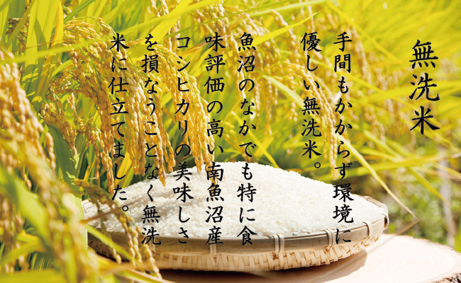 【頒布会】南魚沼産こしひかり無洗米5kg×全12回