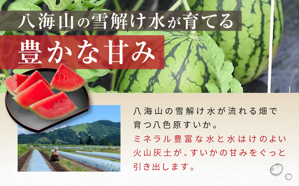 先行予約【高級】八色原すいか小玉２玉【2026年7月中旬発送】【お届け日時指定不可】