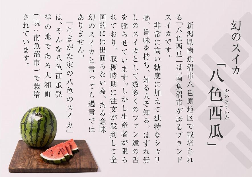 【2024年7月中旬発送予定】高級南魚沼八色産スイカ「こまがた家の八色のスイカ」小玉4個