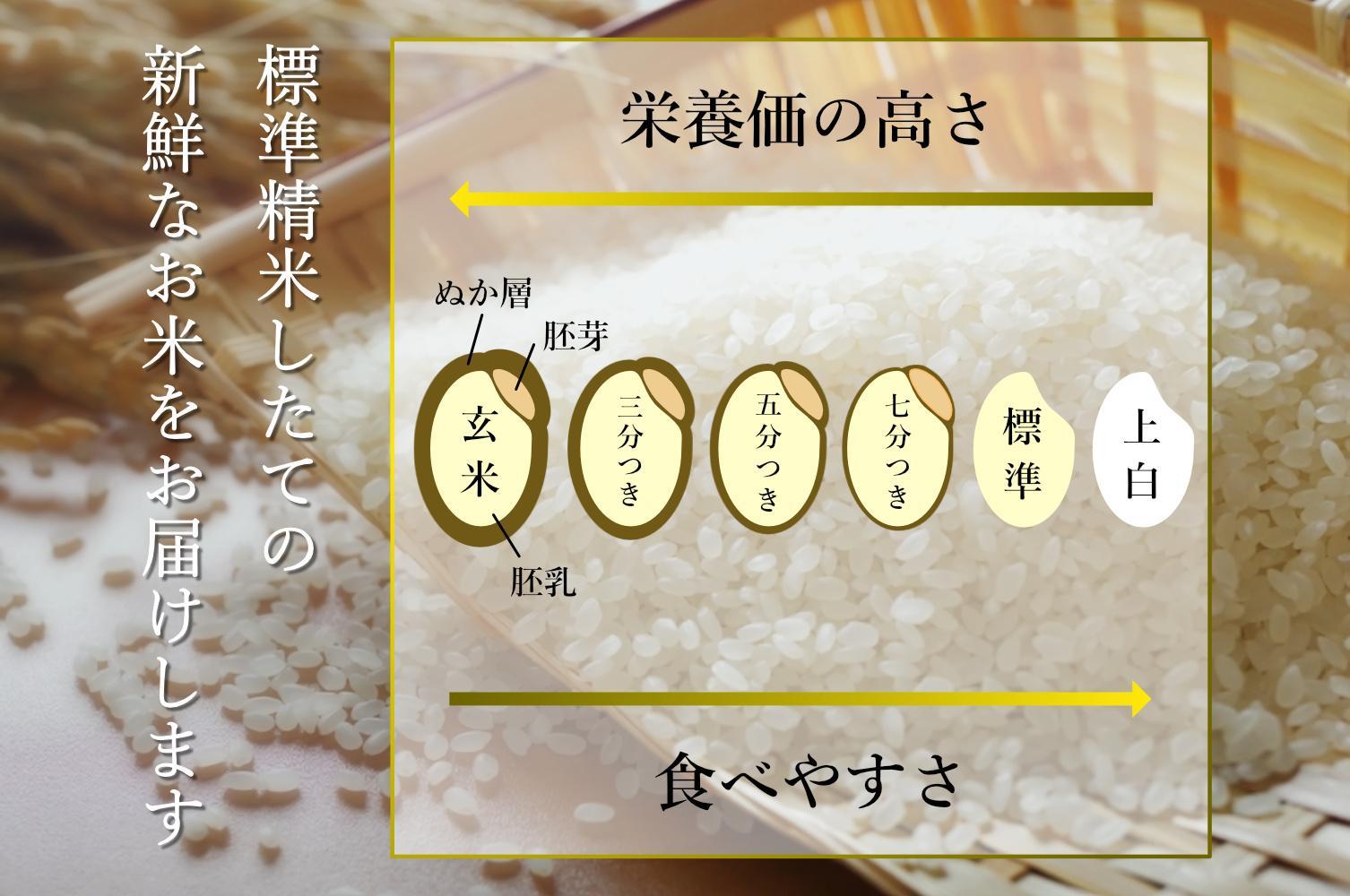 【6年産新米発送　精米10ｋｇ×9ヶ月　定期便】　令和6年10月中旬より順次発送　南魚沼塩沢産従来コシヒカリ