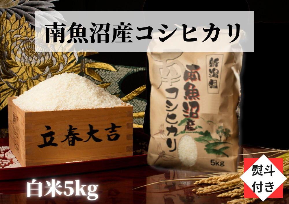 【のし付き】【令和5年産】【高級】南魚沼産こしひかり白米（5kg）新潟県 特A地区の美味しいお米。