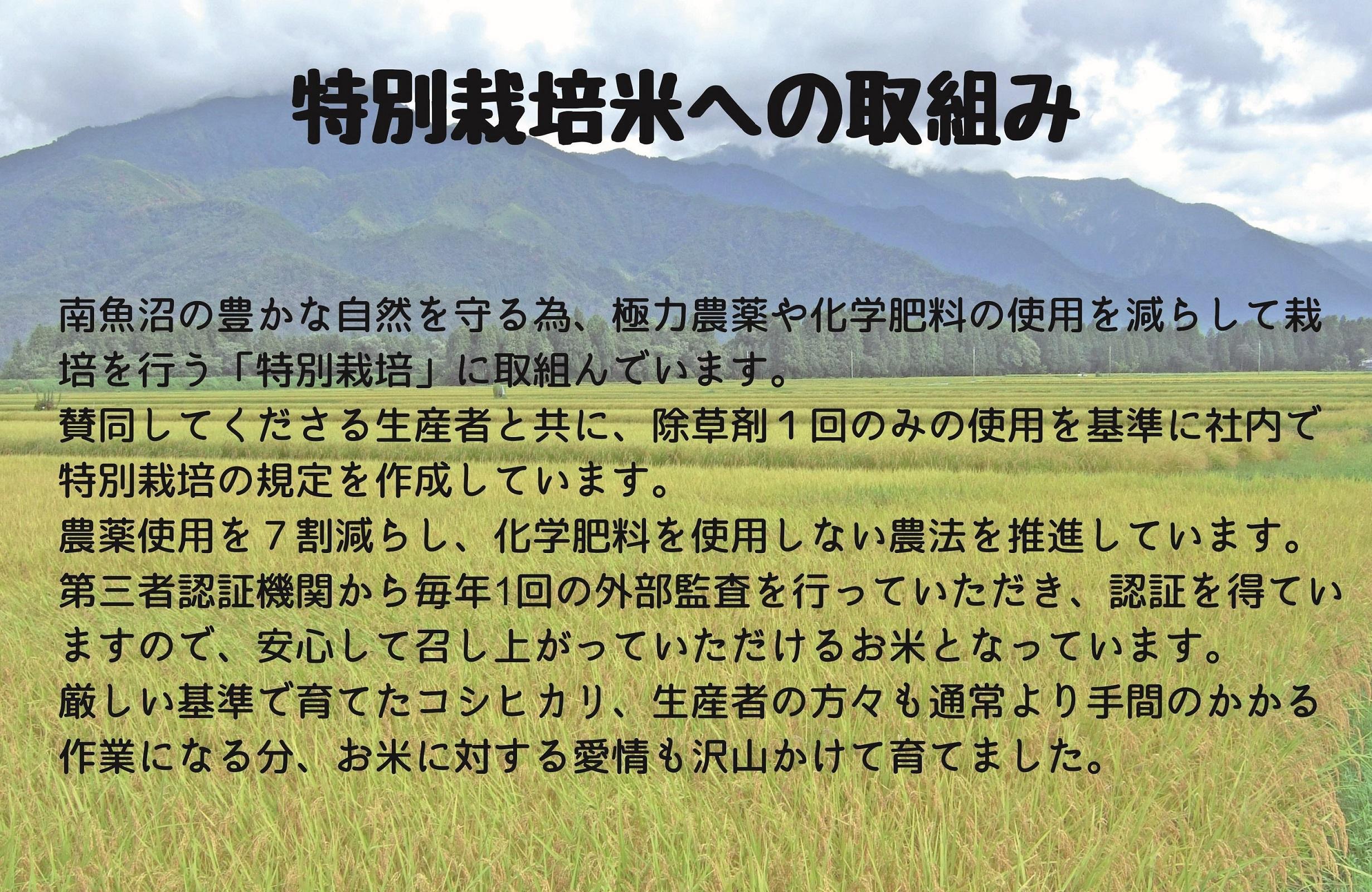 令和6年産 南魚沼産コシヒカリ特別栽培米5kg