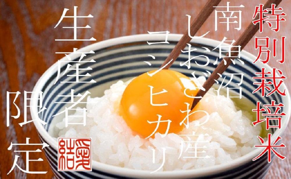 【令和7年産】【定期便10Kg×6ヶ月】【特別栽培米】 契約生産者限定  南魚沼しおざわ産コシヒカリ