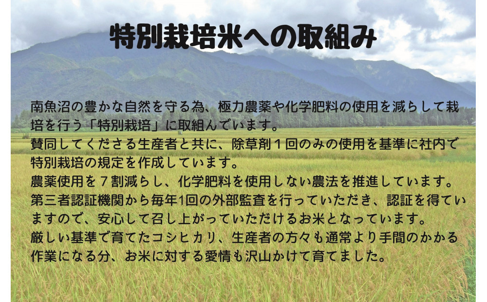 【令和7年産米】南魚沼産コシヒカリ特別栽培米 白米 2kg