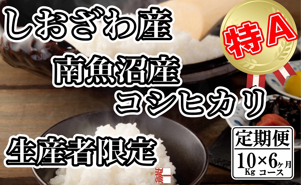 【令和7年産】【定期便：10Kg×6ヶ月】生産者限定 契約栽培 南魚沼しおざわ産コシヒカリ【2025年10月上旬より順次発送予定】