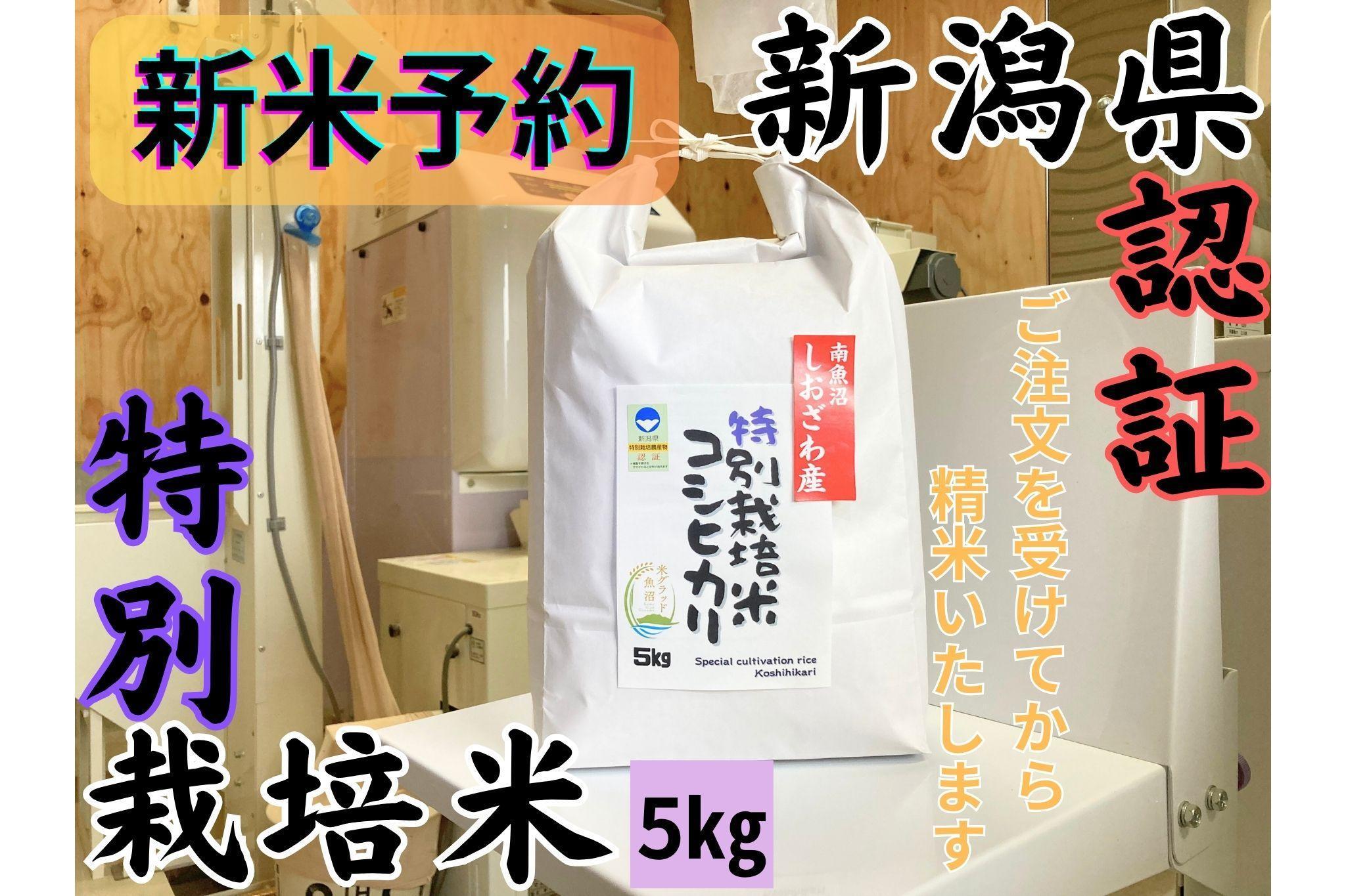 【令和8年産・新米予約】安心安全の新潟県南魚沼産特別栽培米コシヒカリ　5kg　新潟県認証【銘柄米 ブランド米 精米 こしひかり コシヒカリ 魚沼産 新潟米】【2026年10月上旬より1ヶ月以内に順次発送予定】