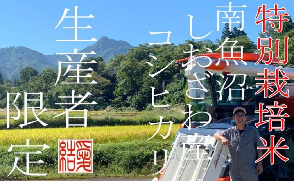 ã什å7幎ç£ããå®æäŸ¿5KgÃ6ã¶æããç¹å¥æ œå¹ç±³ã å¥çŽçç£è
éå® åéæ²Œããããç£ã³ã·ãã«ãª