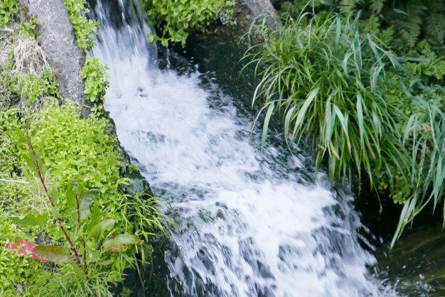 縲撰シイ7蟷エ逕」縲代仙ョ壽悄萓ソ縲大漉鬲壽イシ逕」繧ウ繧キ繝偵き繝ェ邊セ邀ウシ徒gテ12蝗 螻ア譛ャ螳カ縲仙セ捺擂蜩∫ィョ縲