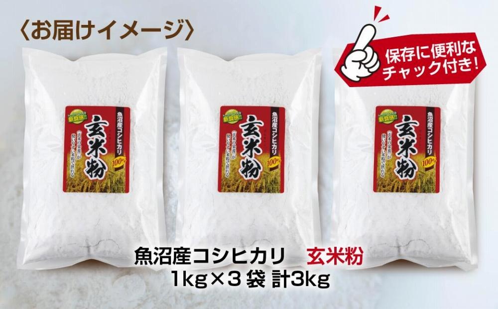 ES483 玄米粉 1kg×3袋 計3kg 魚沼産 コシヒカリ 玄米 白米粉 グルテンフリー 小麦不使用 GABA アレルギー お取り寄せ パン ケーキ 菓子 ギフト 送料無料 コパフーズ 新潟県 南魚沼市