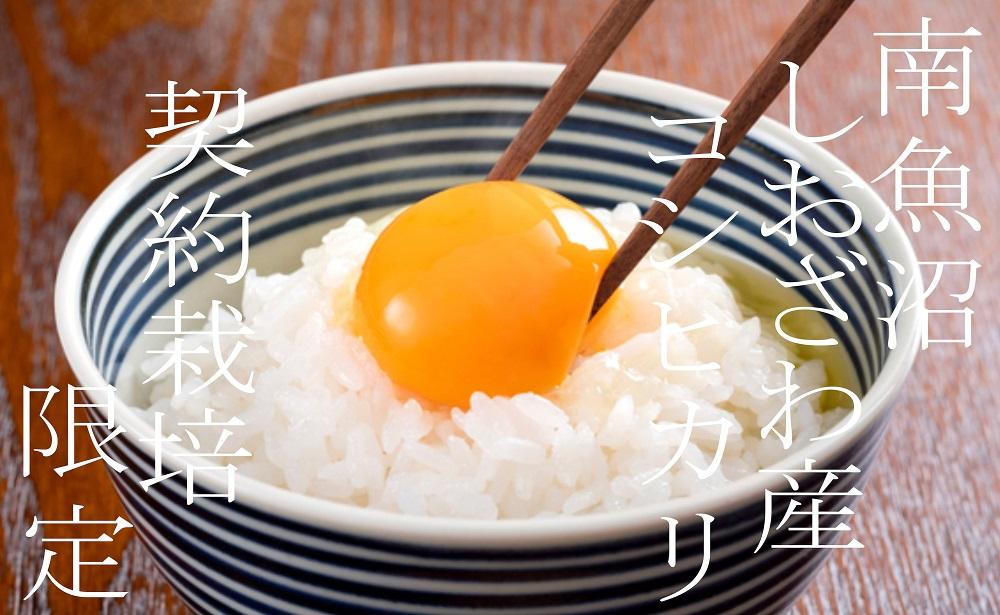 【令和7年産】【定期便】契約栽培限定 南魚沼しおざわ産コシヒカリ10Kg×6ヶ月