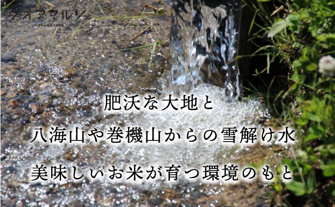 【お米定期便/全３回】おかずのいらない 魚沼産コシヒカリ　無洗米５ｋｇ