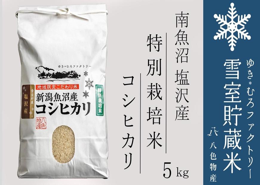 【令和７年産】特別栽培 雪室貯蔵米 南魚沼塩沢産コシヒカリ5kg　【2025年10月下旬より順次発送予定】