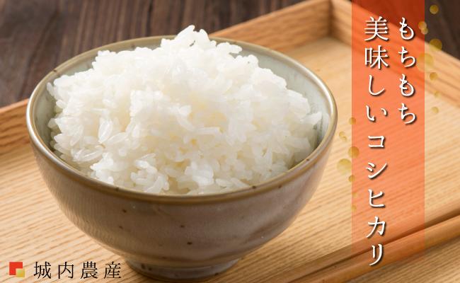 南魚沼産コシヒカリ　白米５ｋｇ【５割減農薬栽培米】 城内農産 令和７年
