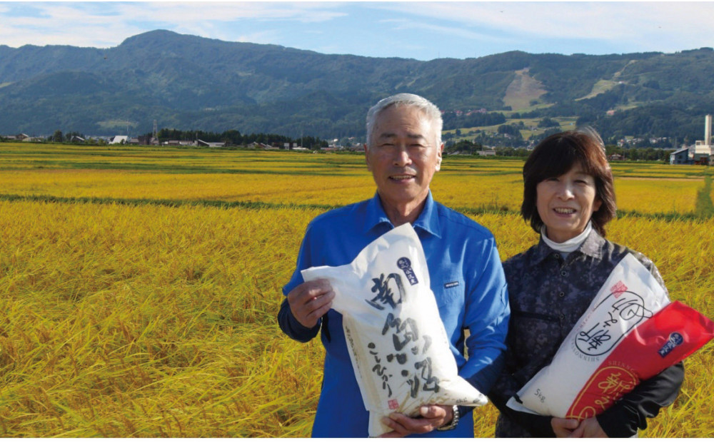 【令和8年産先行予約】南魚沼産コシヒカリ10kg一等米（5kg×2袋）【塩沢地区】【2026年10月中旬より1ヶ月以内に順次発送予定】