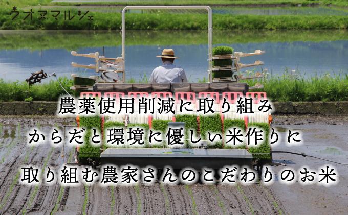 【お米定期便/全６回】 おかずのいらない 魚沼産コシヒカリ　白米５ｋｇ