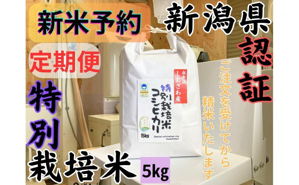 【令和8年産・新米予約・定期便】安心安全の新潟県南魚沼産特別栽培米コシヒカリ　5kg×６か月　新潟県認証【定期便 銘柄米 ブランド米 精米 こしひかり コシヒカリ】【2026年10月上旬より1ヶ月以内に順次発送予定】