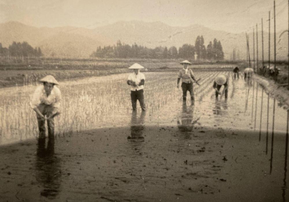 ã什å7幎ç£ãæé«éè³åè³ æ œå¹æéäžèŸ²è¬5岿žæ œå¹ãåéæ²Œç£ã³ã·ãã«ãªãããŸããå®¶ã®ãç±³ã10kg