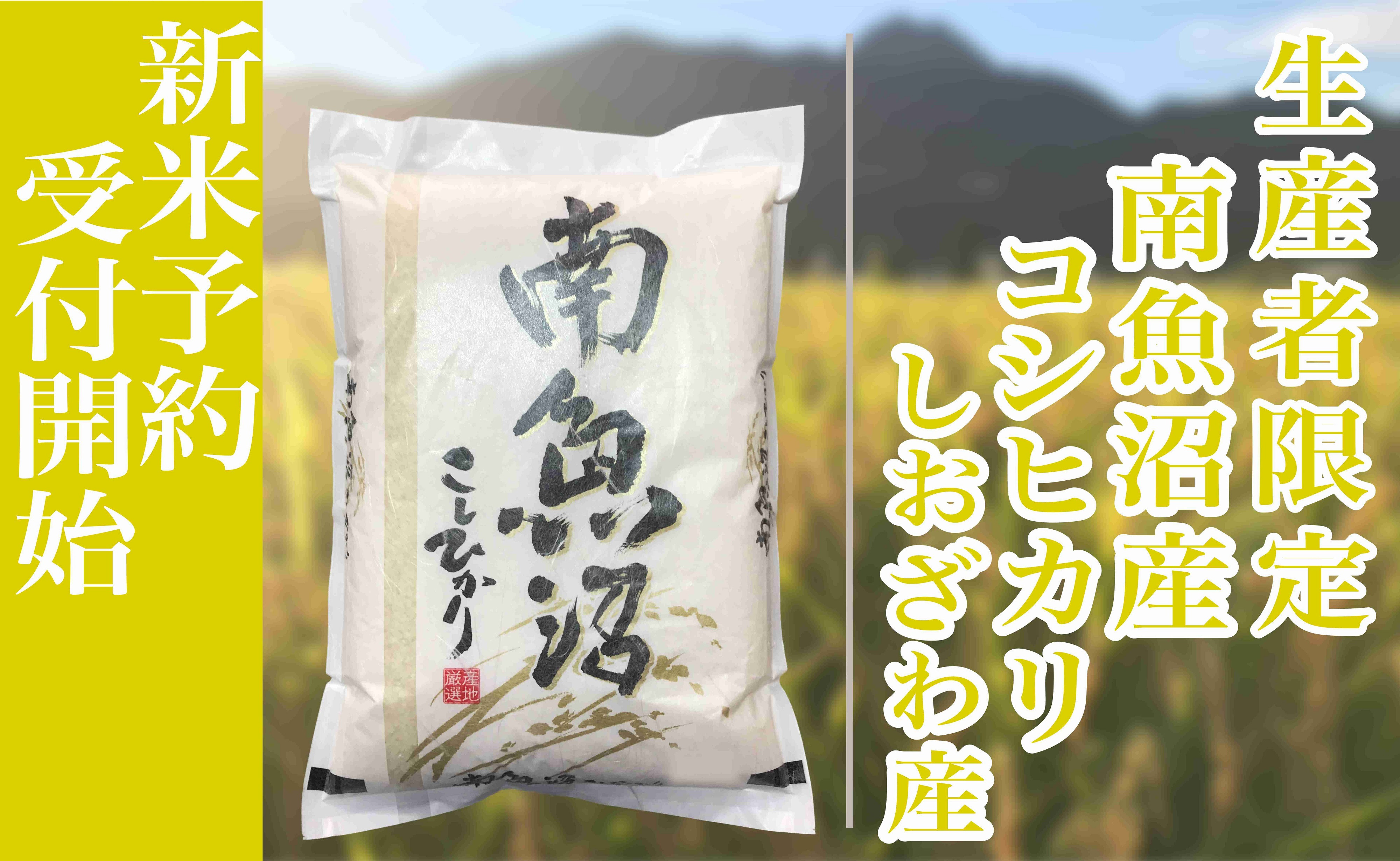 【令和7年産】定期便６ヶ月：精米5kg生産者限定 南魚沼しおざわ産コシヒカリ