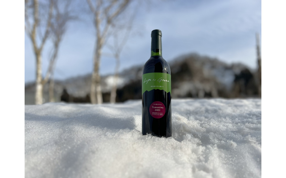 南魚沼産カベルネ2021―反射シートの光が描く、雪国ワインの極致 750ml×1本