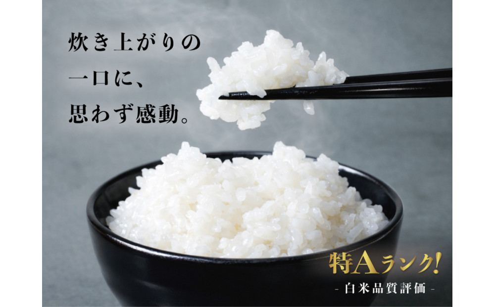 定期便全3回【南魚沼市食味コンテスト優秀賞】南魚沼産コシヒカリ 白米5kg ｜薬師米 令和7年産