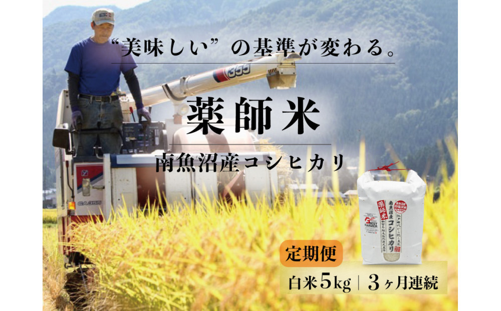 定期便全3回【南魚沼市食味コンテスト優秀賞】南魚沼産コシヒカリ 白米5kg ｜薬師米 令和7年産