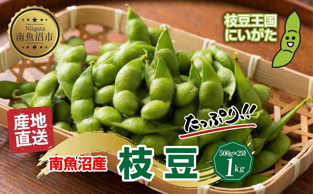 【予約販売】令和7年産 枝豆 500g×2袋 計1kg えだまめ 豆 つまみ おつまみ 酒の肴 晩酌 酒 ビール おやつ おかず 豆ごはん 冷蔵 越季 新潟県 南魚沼市