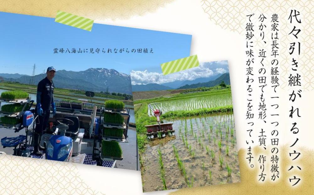 【生産者直送】【定期便６ヶ月】【令和７年産 】南魚沼産こしひかり5kg×全6回　合計30kg  白米  オグライスファーム＜コシヒカリ 精米 農家直送＞