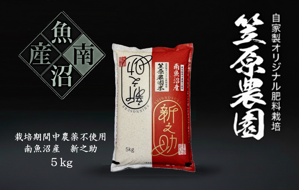 縲蝉サ、蜥鯉シ怜ケエ逕」譁ー邀ウ縲大漉鬲壽イシ逕」 隨蜴溯セイ蝨堤アウ 譬ス蝓ケ譛滄俣荳ュ霎イ阮ャ荳堺スソ逕ィ 譁ー荵句勧 5kg