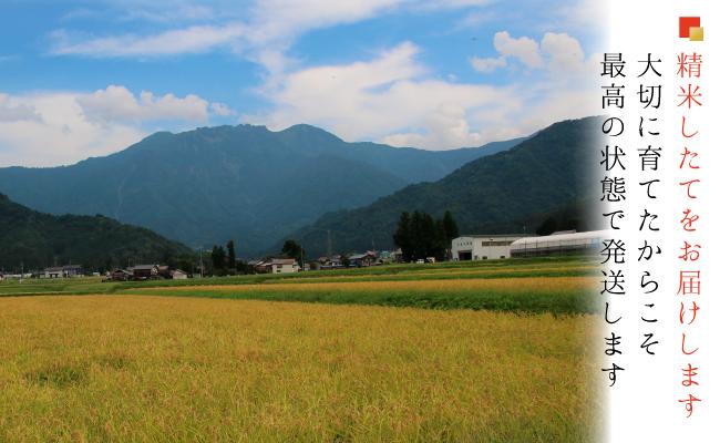 縲蝉サ、蜥鯉シ怜ケエ逕」縲代蝉サ、蜥鯉シ怜ケエ逕」縲大漉鬲壽イシ逕」繧ウ繧キ繝偵き繝ェ 逋ス邀ウシ托シ撰ス具ス 縲撰シ募牡貂幄セイ阮ャ譬ス蝓ケ邀ウ縲大沁蜀霎イ逕」