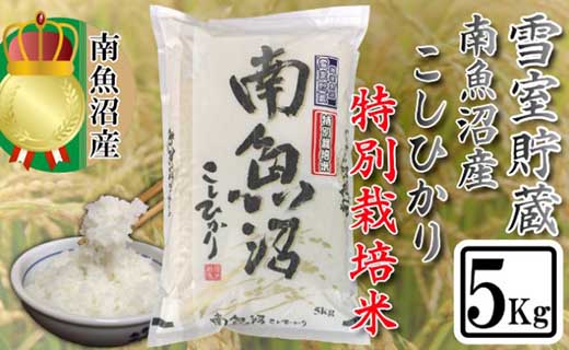 特別栽培 雪室貯蔵・塩沢産コシヒカリ5kg